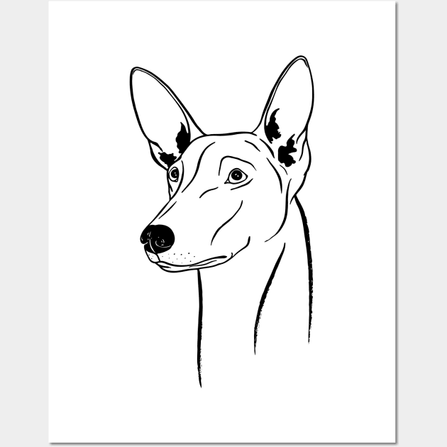 Pharaoh Hound (Black and White) Wall Art by illucalliart